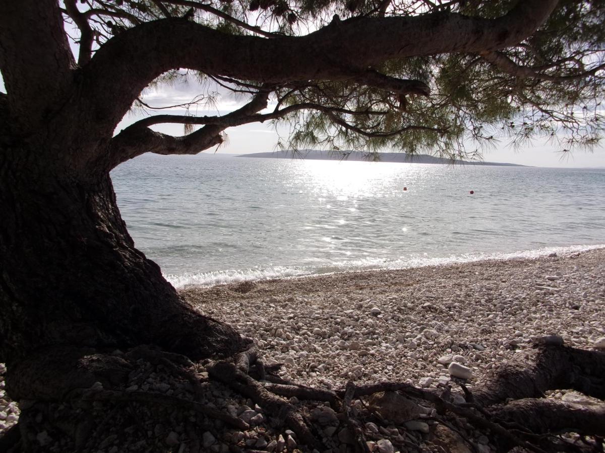 Pura Vida Makarska Διαμέρισμα Εξωτερικό φωτογραφία