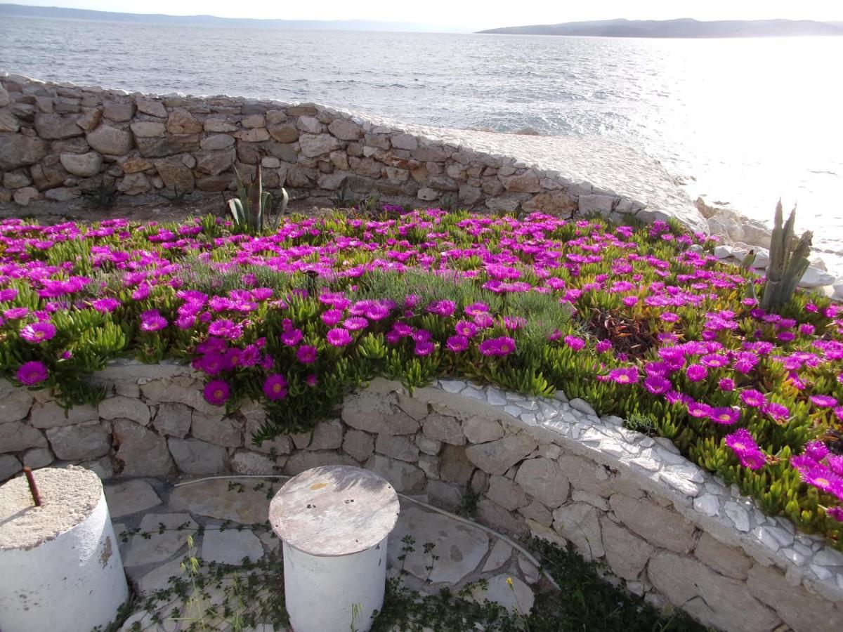 Pura Vida Makarska Διαμέρισμα Εξωτερικό φωτογραφία
